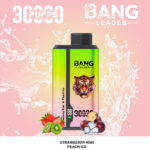 Bang Leader 30000 Puffs 2 in 1 Dual Flavors Disposable Vape 36ml 0-5% Nicotine