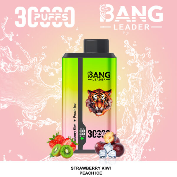 Bang Leader 30000 Puffs 2 in 1 Dual Smaken Wegwerp Vape 36ml 0-5% Nicotine