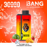 Bang Leader 30000 Puffs 2 in 1 Dual Flavors Disposable Vape 36ml 0-5% Nicotine - Image 3