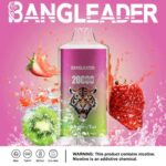 Bang Leader 20000 Puffs Disposable Vape 28ml 0-5% Nicotine LED Digital Display - Image 2
