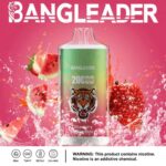 Bang Leader 20000 Puffs Disposable Vape strawberry watermelon