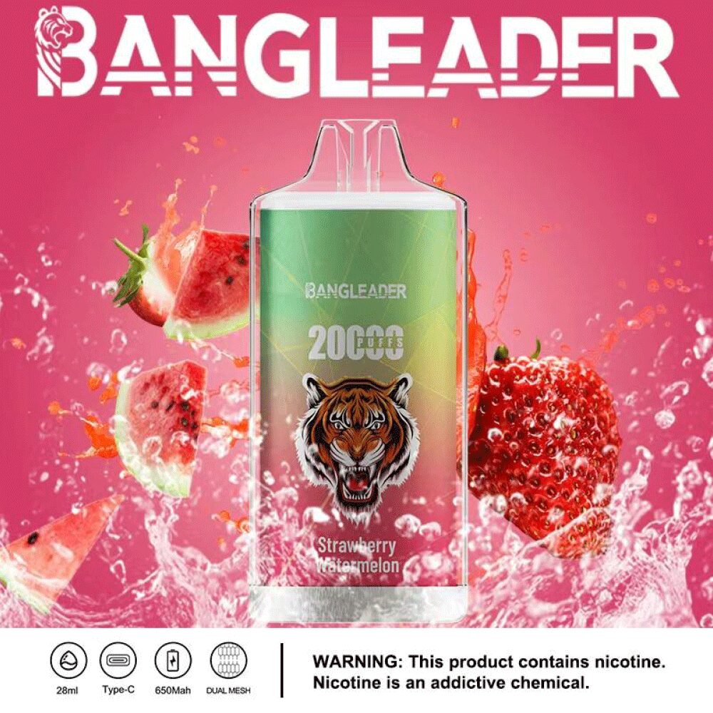 Bang Leader 20000 Puffs Disposable Vape strawberry watermelon