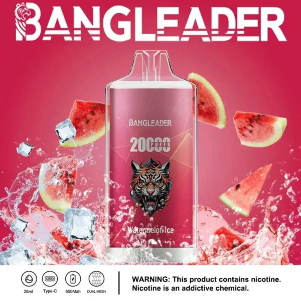 Bang Leader 20000 Puffs Disposable Vape 28ml 0-5% Nicotine LED Digital Display