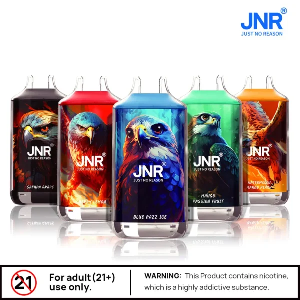 JNR Falcon 16000 bouffées jetables 22ml 2%-5% Nicotine Type-C rechargeable