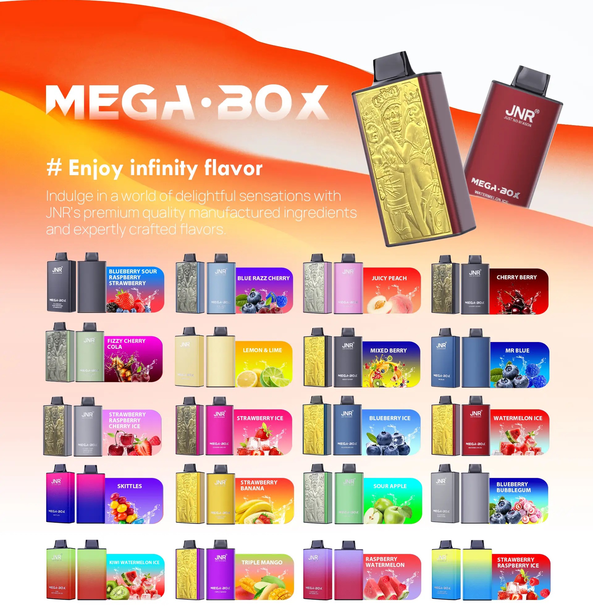 JNR Mega Box 25000 Puffs Disposable Vape Flavors