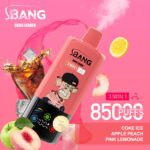 Bang Leader 85000 Puffs 3-in-1 Flavors Disposable Vape 60ml 0-5% Nicotine - Image 4