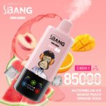 Bang Leader 85000 Puffs 3-in-1 Flavors Disposable Vape 60ml 0-5% Nicotine - Image 2