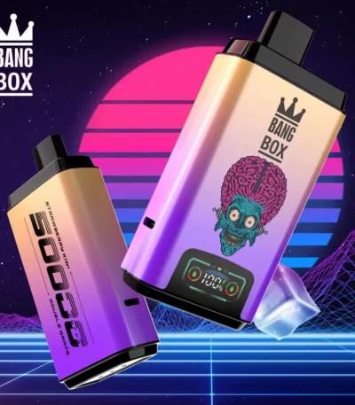 Bang Box 50000 Puffs 2 in 1 Flavors Disposable Vape