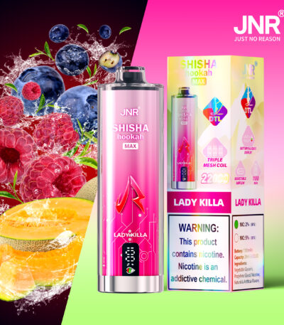 JNR SHISHA MAX 22000 Puffs Disposable Vape Lady Killa