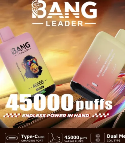 Bang Leader 45000 Puffs 2 in 1 Flavors Disposable Vape