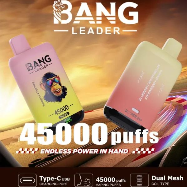 Bang Leader 45000 Puffs 2 in 1 Flavors Disposable Vape